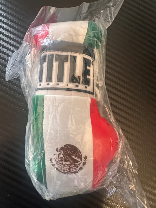 Mini Gloves, Mexican Flag