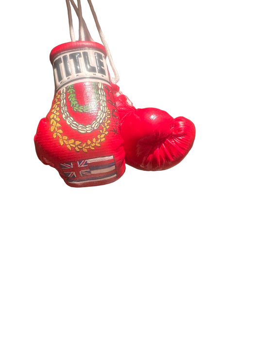 Custom Mini Boxing Gloves, Red, Hae Hawaii
